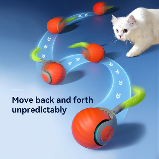 Lovely Caves Interactive Cat Ball Cat Toy with Tail