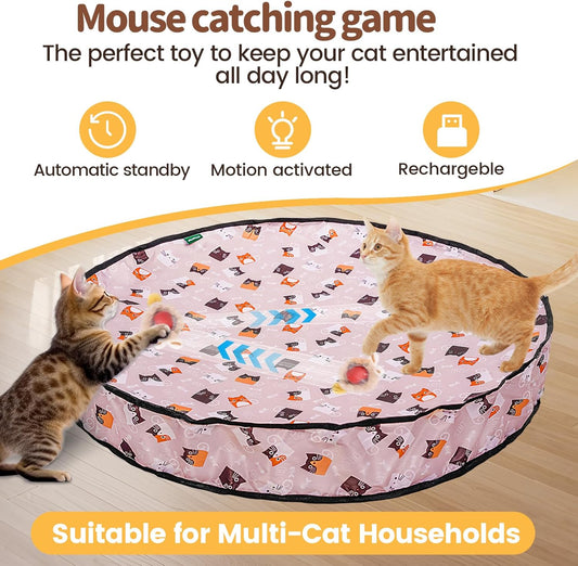 Lovely Caves Interactive Bird Chirping Fast Rolling Ball in Pouch Cat Toy