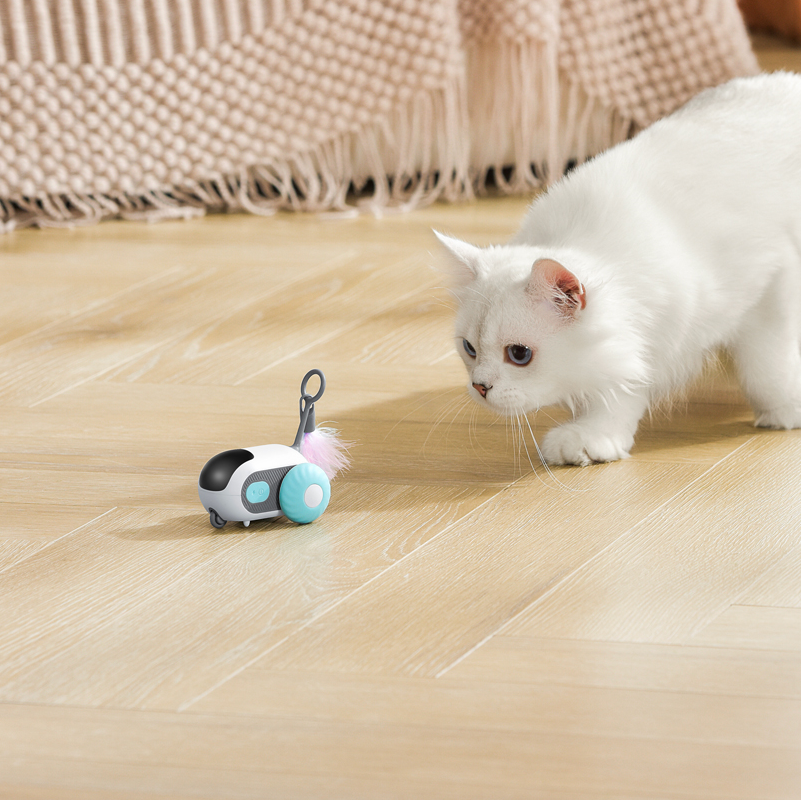 Lovely Caves Remote Control Car Chase Smart Cat Toy