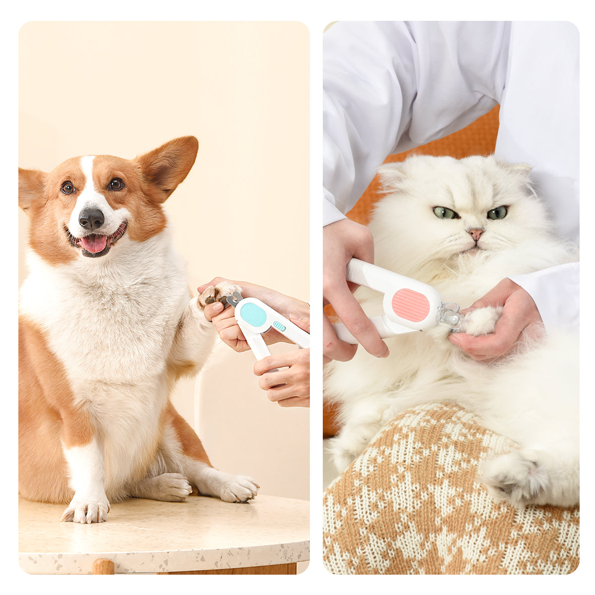 Lovely Caves Extra Large LED Light Cat Nail Clipper with Nail File