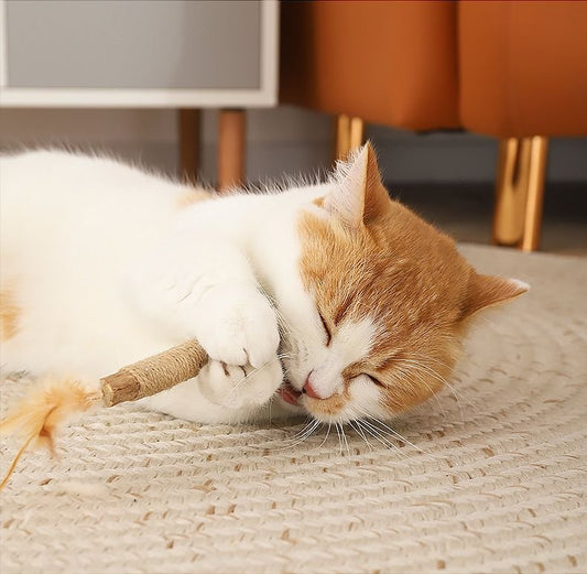 Lovely Caves Feather Silvervine Sticks Cat Chew Toy with Bell, Brown