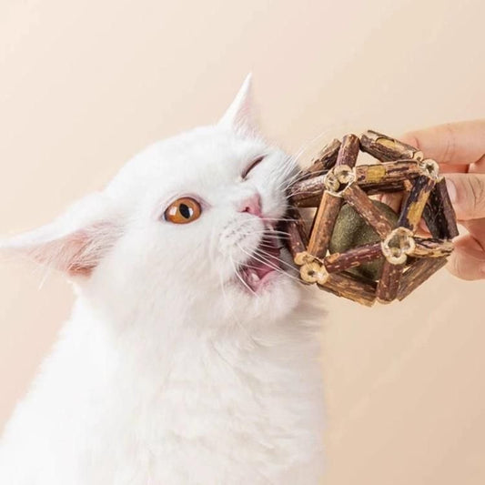 Lovely Caves Assorted Silvervine Stick Cage Ball Cat Chew Toy, Brown