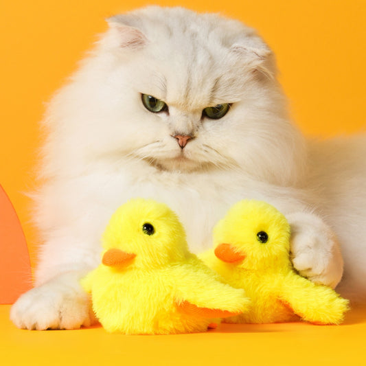 Lovely Caves Rechargeable Flapping Wings Duck Cat Toy