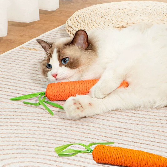 Lovely Caves Cotton Carrot Cat Chew Toy, 2 count, Orange