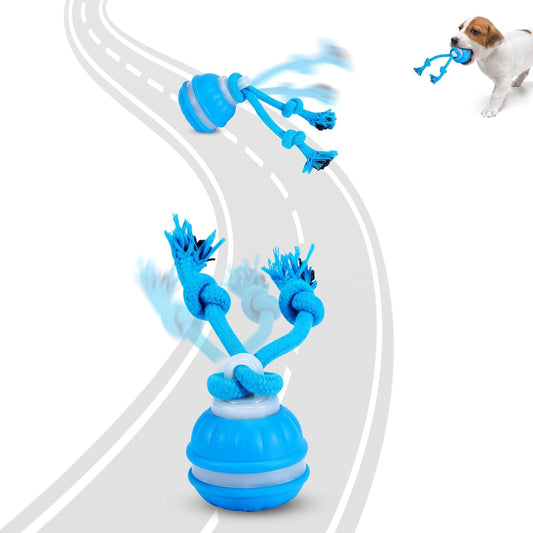 Lovely Caves Interactive Dog Ball Toys with Rope