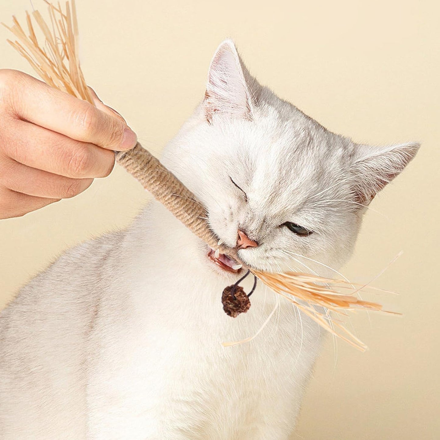 Lovely Caves Cat Premium Silvervine Sticks, Natural Cat Chew Teeth Cleaning Toy