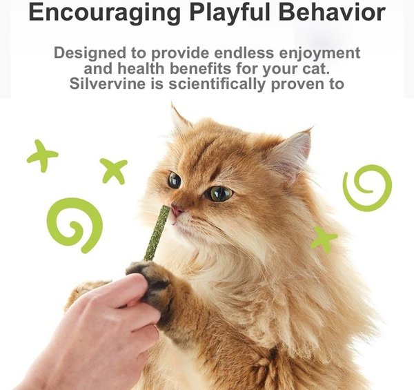 Lovely Caves Catnip Silvervine Chew Sticks Cat Toy, Green