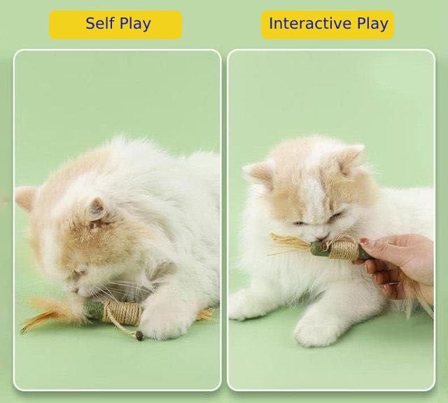 Lovely Caves Catnip Sticks Cat Chew Toy with Gall Fruit, Green
