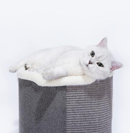 30" Farley Cat Condo - Lovely Caves