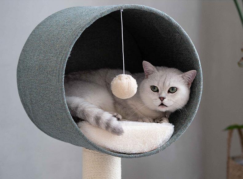 Concise Style Cat Cave and Cat Tree 2 in 1 Cat Climbing Frame Cat Toy Solid Wood Stand - Lovely Caves