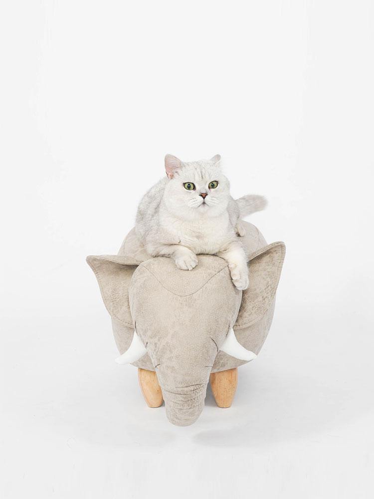 2 in 1 Cat Bed Cave Bed, Creative Solid Wood Pet Bed Stool Cat Hut Easy Cleaning Self Warming - Lovely Caves
