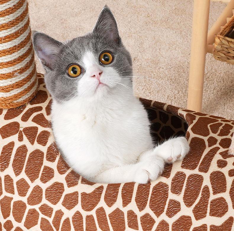 Giraffe Cat Cave and Cat Tree with Scratching Post - Lovely Caves