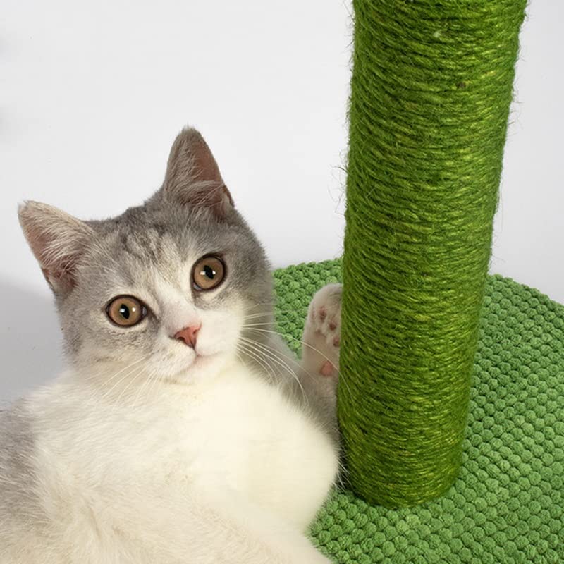 Lovely Caves 23.6in Cactus Scratching Post