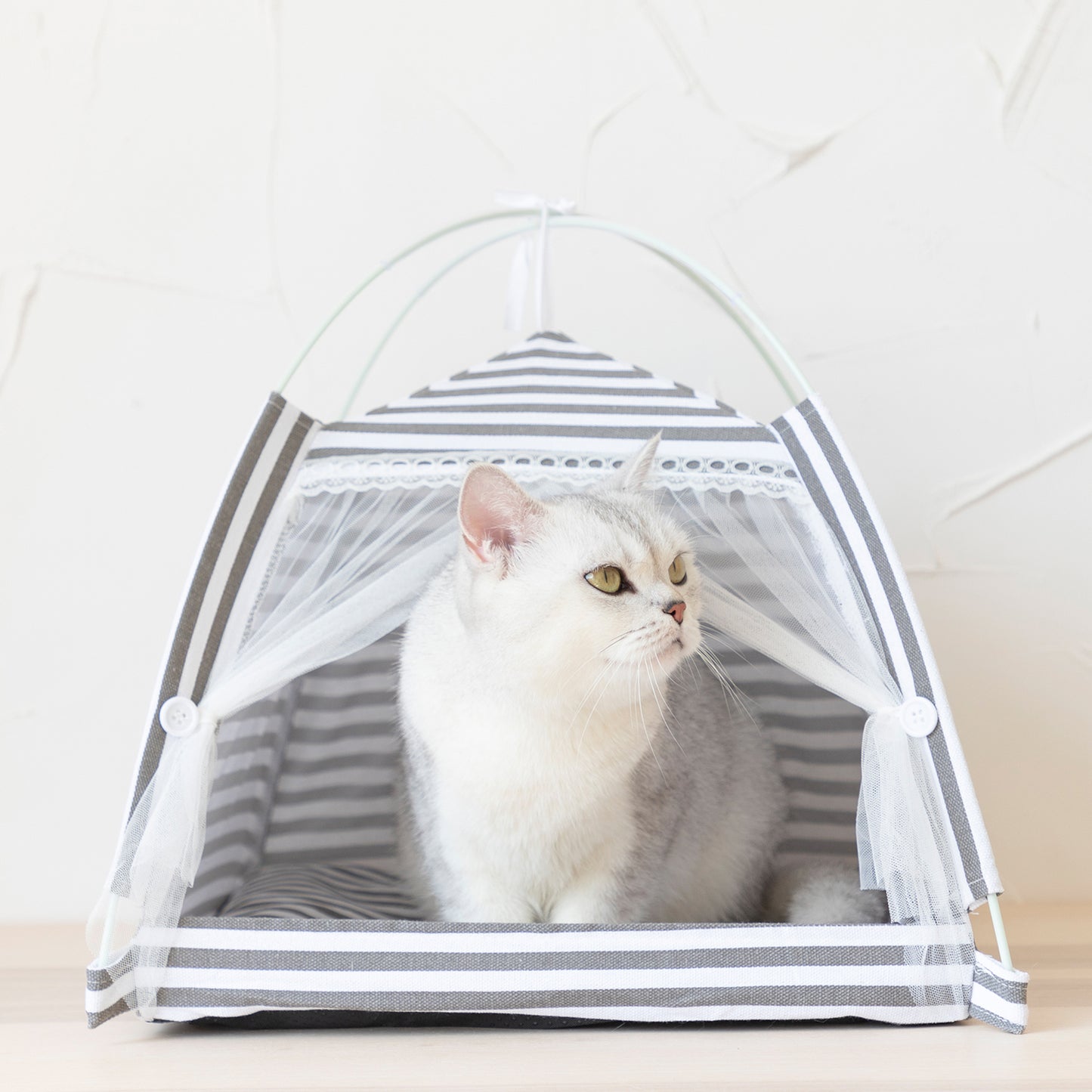 Lovely Caves Cat Tent Bed with Non-Slip Soft Pad